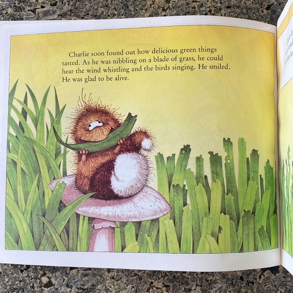 Children’s book - Picture 5 of 8